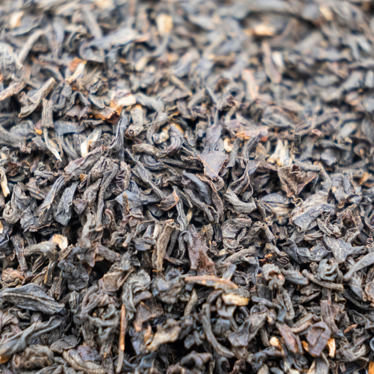 Borengajuli Assam Black Tea