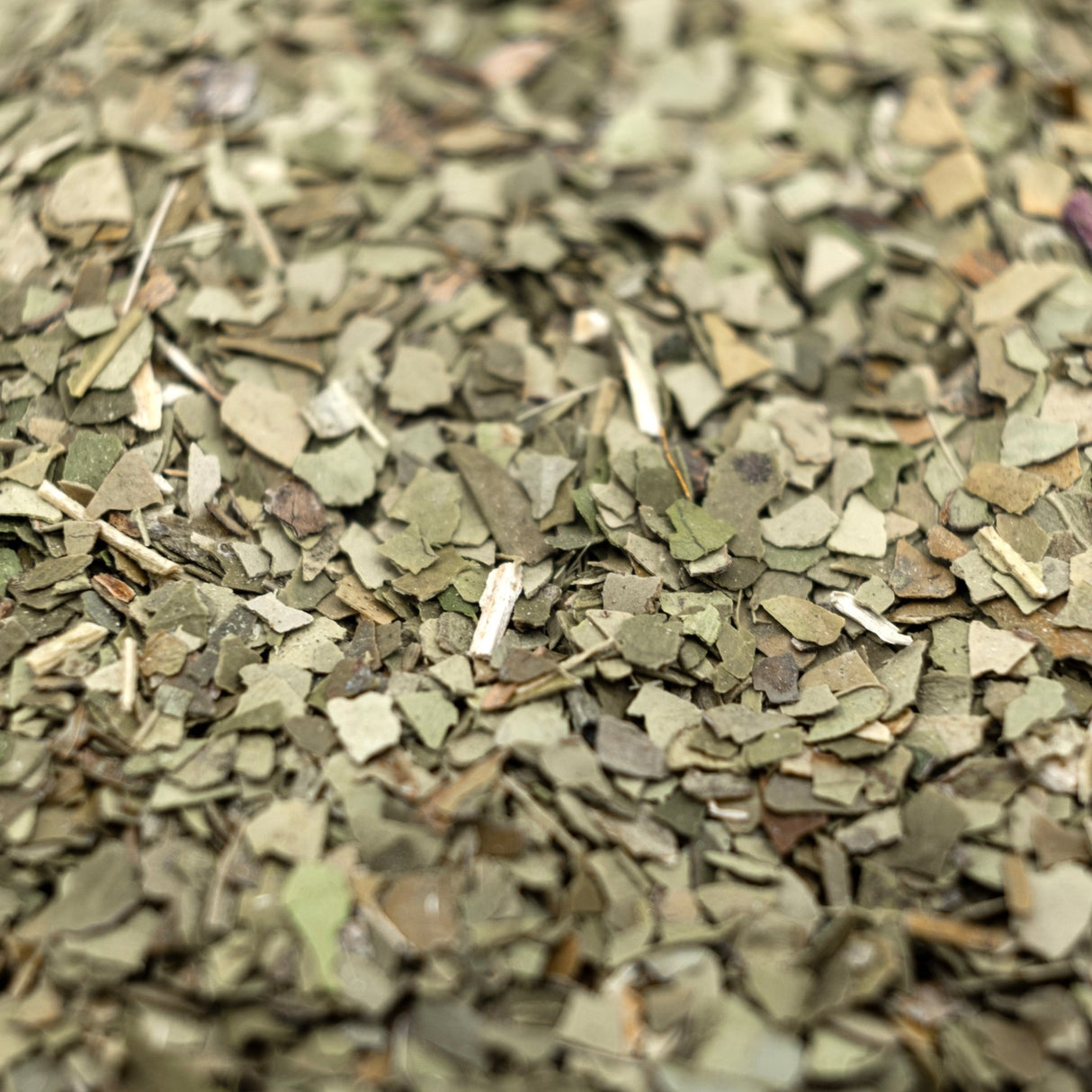 Green Yerba Mate - Sampson Eco Shop