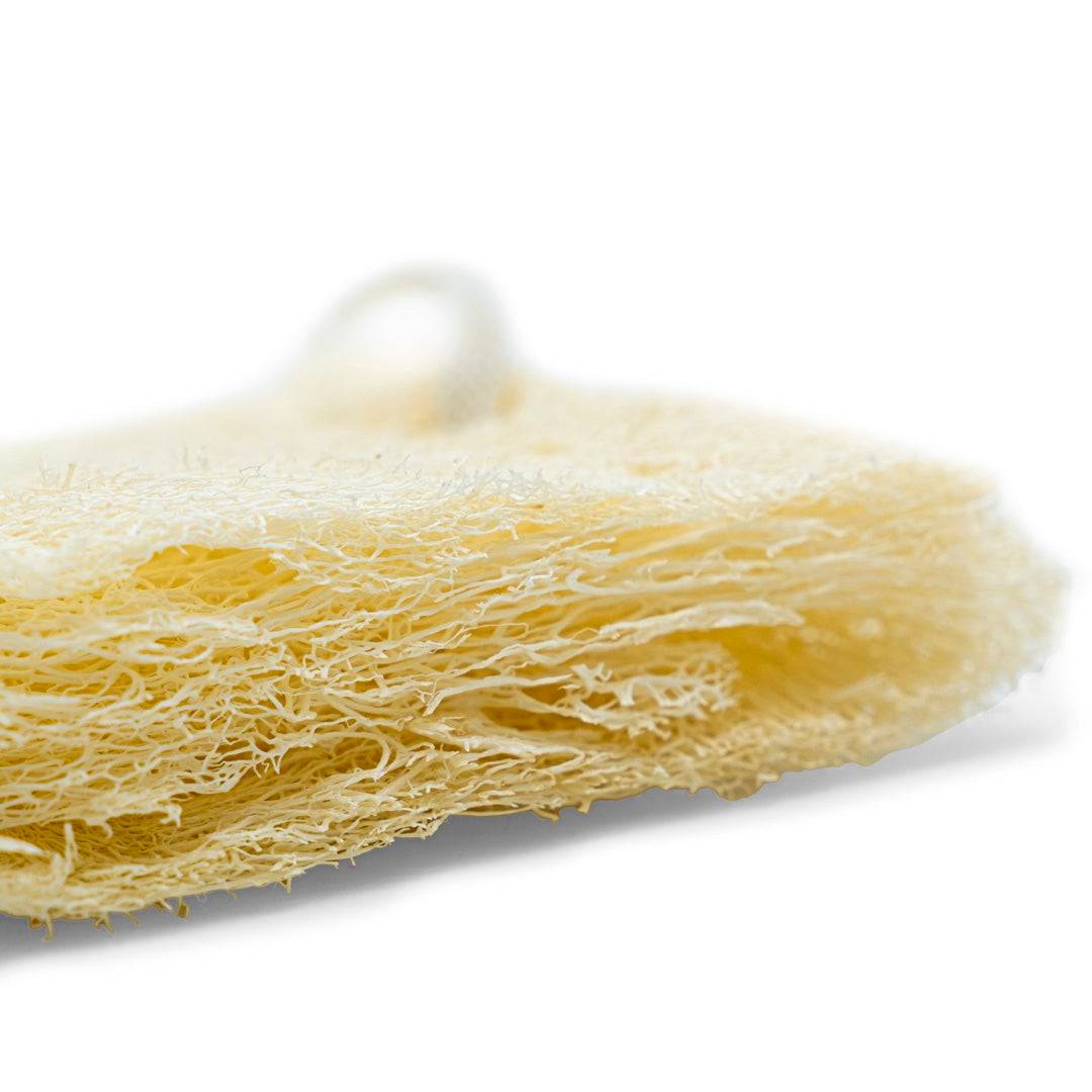 Natural Loofah with Cotton Rope (Small) - Sampson Eco Shop