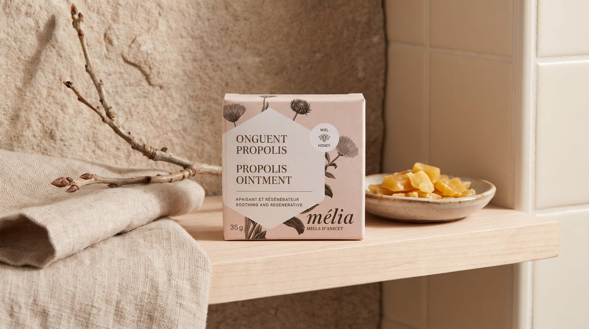 Miel d'Anicet Propolis Ointment 35 g carton on a pale wood bathroom shelf beside a folded linen towel, a ceramic dish of beeswax pieces and a dried twig in soft natural light