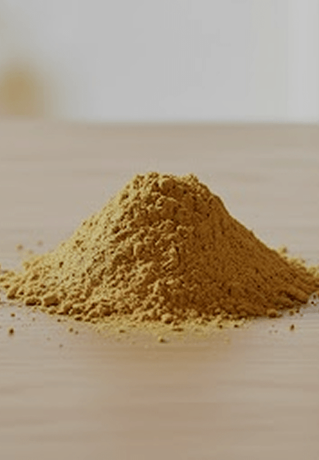 Clays - Sampson Eco Shop