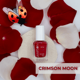 24 Free Nail Polish - Sampson Eco Shop