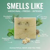 Eucalytpus, Chanvre et Arbre à Thé - Savon coupé à la main