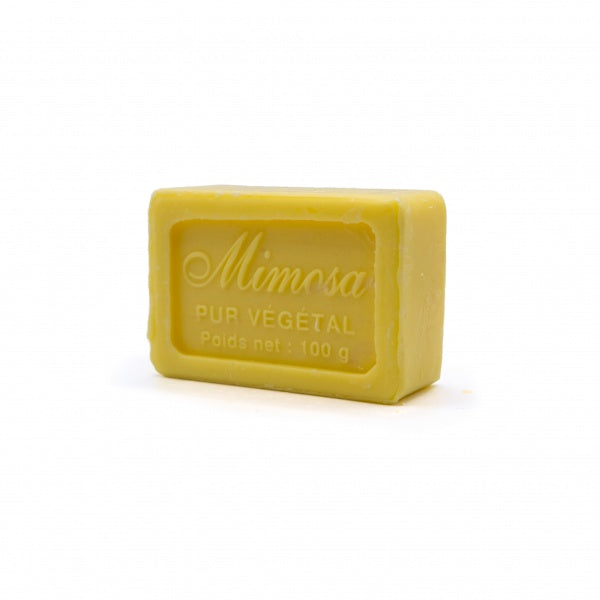 Marseille Soap