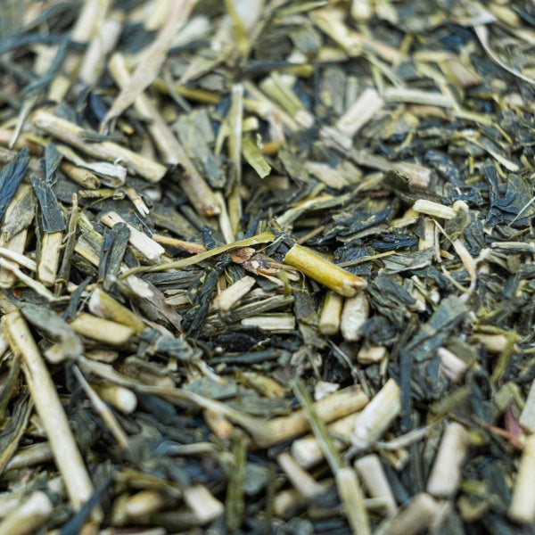 Japan Kukicha Green Tea