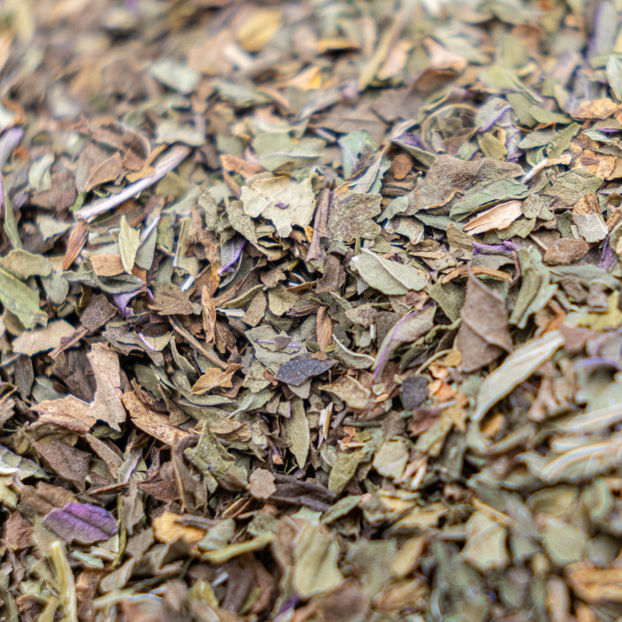 Tisane Willamette à la menthe poivrée
