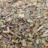 Tisane Willamette à la menthe poivrée