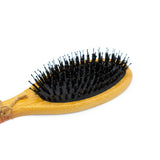 Boar Bristle Hair Brush - Sampson Eco Shop