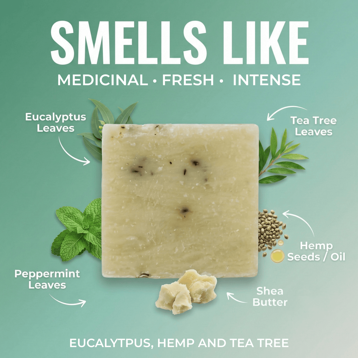 Eucalytpus, Hemp and Tea Tree - Hand Cut Soap - Sampson Eco Shop