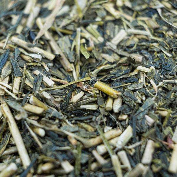 Japan Kukicha Green Tea - Sampson Eco Shop