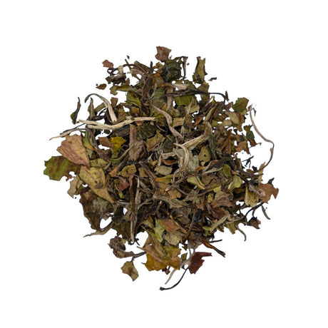Pai Mu Tan White Tea - Sampson Eco Shop