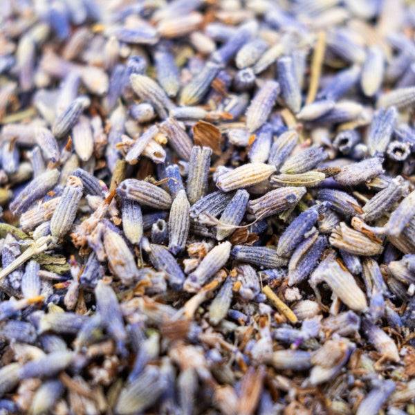 Tibet Wild Lavender Herbal Tea - Sampson Eco Shop